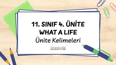 11-sinif-4-unite-what-a-life-unite-kelimeleri