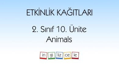 2-sinif-10-unite-animals-etkinlik-kagitlari