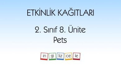 2-sinif-8-unite-pets-etkinlik-kagitlari