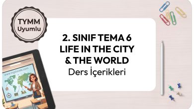 2-sinif-tema-6-life-in-the-city-the-world