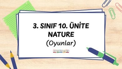 3-sinif-10-unite-nature-oyunlar
