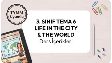 3-sinif-tema-6-life-in-the-city-the-world