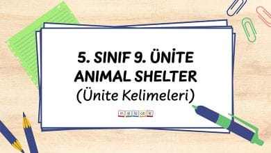5-sinif-9-unite-the-animal-shelter-unite-kelimeleri