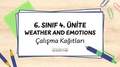 biographies 7 sınıf worksheet 6-sinif-4-unite-weather-and-emotions-calisma-kagitlari