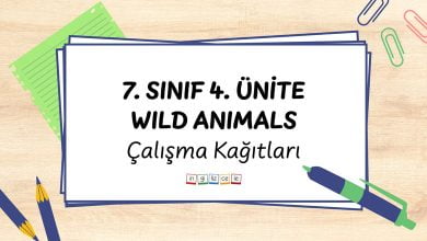 7-sinif-4-unite-wild-animals-calisma-kagitlari