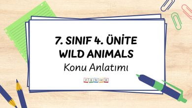 7-sinif-4-unite-wild-animals-konu-anlatimi