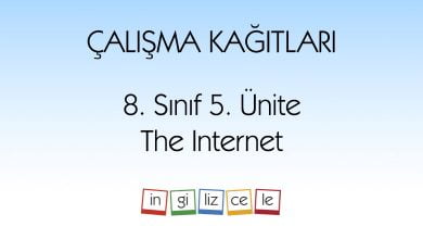 8-sinif-5-unite-the-internet-calisma-kagitlari