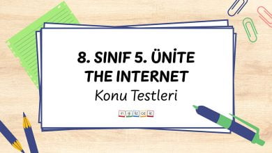 8-sinif-5-unite-the-internet-konu-testleri