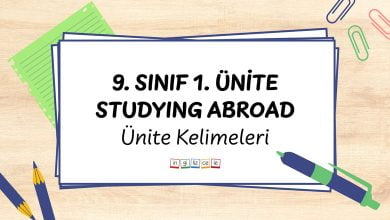 9-sinif-1-unite-studying-abroad-unite-kelimeleri