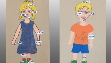 ingilizce-body-parts-materyal