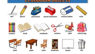classroom-objects-sinif-nesneleri-resimli-sozluk