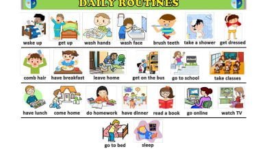daily-routines-gunluk-rutinler-resimli-sozluk
