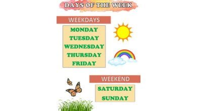 days-of-the-week-haftanin-gunleri-resimli-sozluk