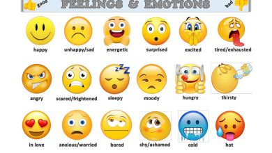 feelings-emotions-duygular-resimli-sozluk