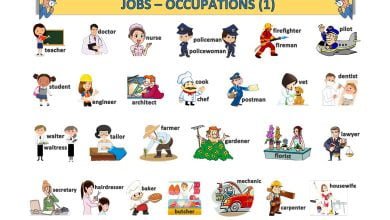 jobs-occupations-meslekler-resimli-sozluk-1