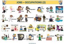 jobs-occupations-meslekler-resimli-sozluk-2