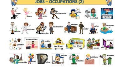 jobs-occupations-meslekler-resimli-sozluk-2