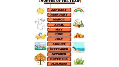 months-of-the-year-yilin-aylari-resimli-sozluk