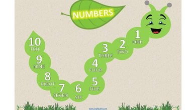 numbers-sayilar-resimli-sozluk-1-10