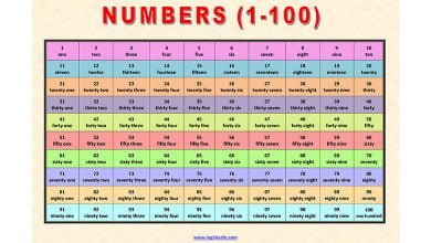 numbers-sayilar-resimli-sozluk-1-100