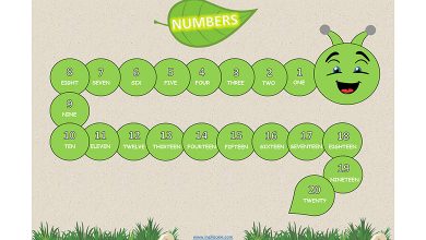 numbers-sayilar-resimli-sozluk-1-20