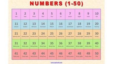 numbers-sayilar-resimli-sozluk-1-50