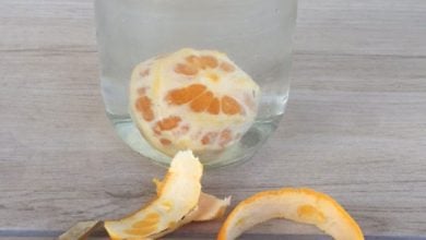 ingilizce-science-doing-experiments-materyal