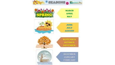 seasons-mevsimler-resimli-sozluk