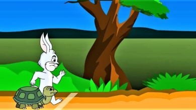 The Rabbit And The Tortoise - Tavşan İle Kaplumbağa