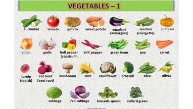 vegetables-sebzeler-resimli-sozluk-1