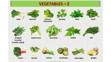 vegetables-sebzeler-resimli-sozluk-2